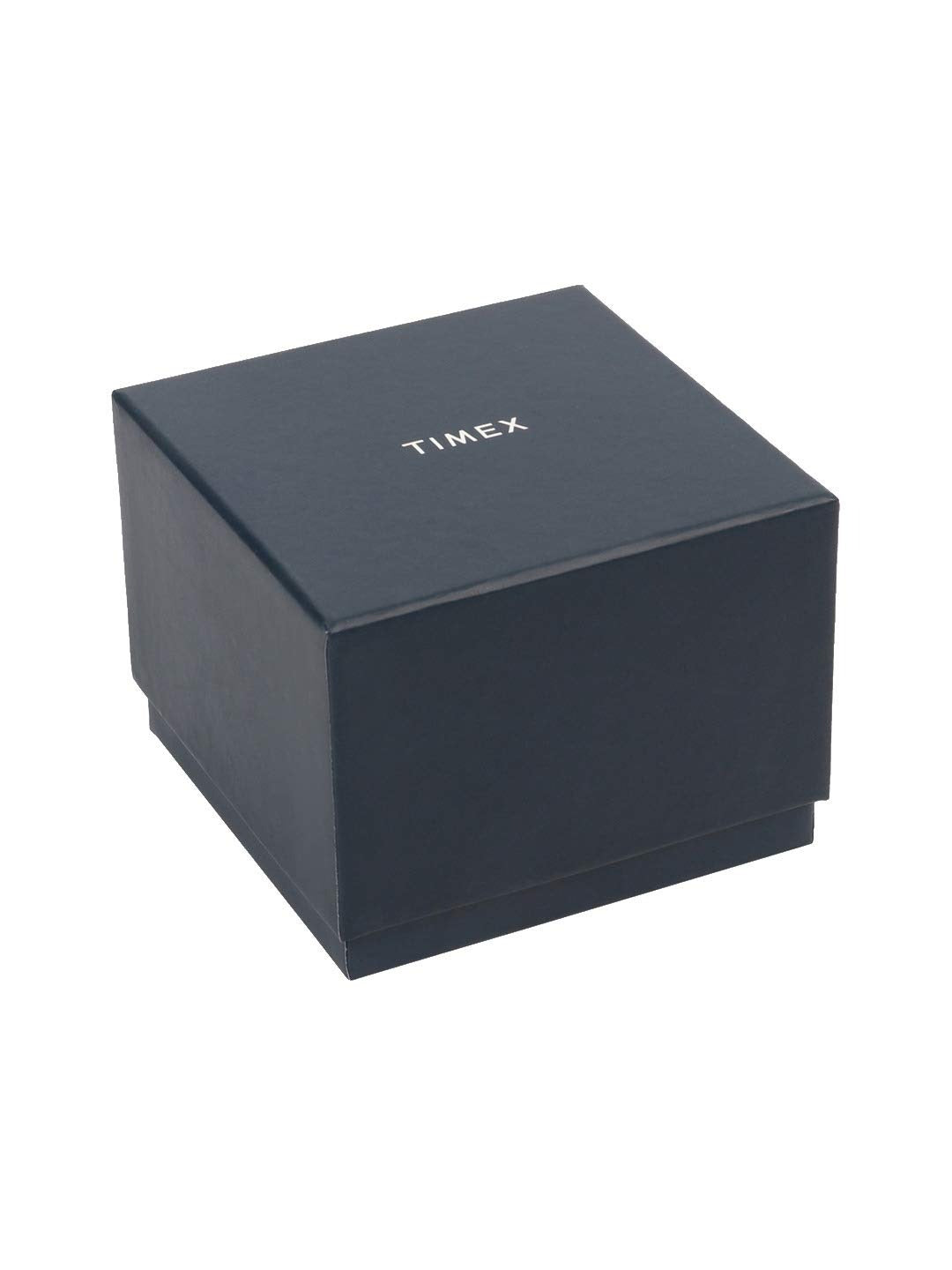 Timex Empera Quartz Silver Dial Analog Leather Men's Watch TW000U313